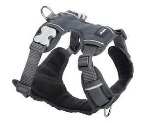 A Red Dingo Padded Cool Grey Dog Harness on a white background