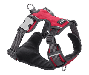 A Red Dingo Padded Red Dog Harness on a white background