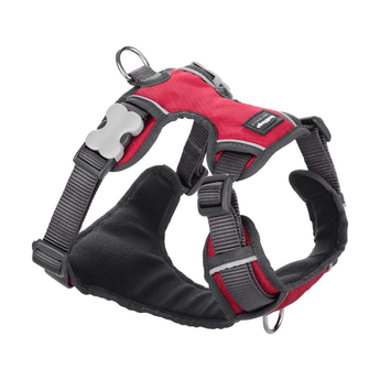 A Red Dingo Padded Red Dog Harness on a white background