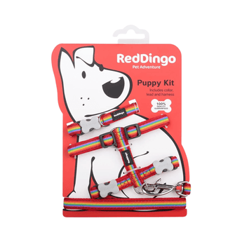 White background with a Rainbow 'Red Dingo' puppy kit, attached to a red cardboard backing with a illustrated puppy on it.
