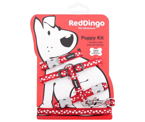 White background with a red 'Red Dingo' puppy kit with white spots on it, attached to a red cardboard backing with a illustrated puppy on it.