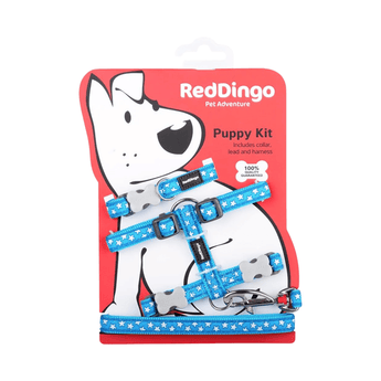White background with a turquoise 'Red Dingo' puppy kit with white stars on it, attached to a red cardboard backing with a illustrated puppy on it.