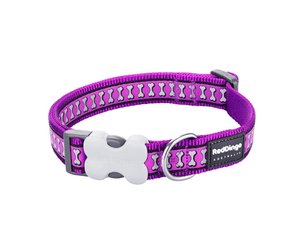 A Red Dingo Purple Reflective Dog Collar on a white background