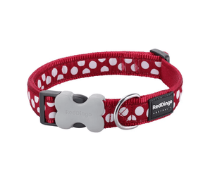 A Red Dingo Red Spots Dog Collar on a white background