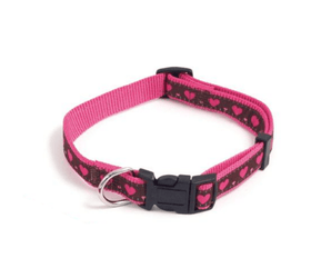 White background with a burgundy dog collar with pink hearts and pink trim. Featuring a black buckle and silver tag loop.