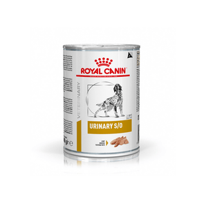 White background with a tin of Royal Canin Urinary S/O for dogs. A English Setter dog is pictured on the tin with text below reading 'Urinary S/O, Loaf'.