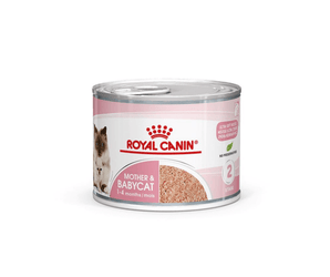 White background with a tin of Royal Canin Mother & Babycat Mousse. Pictured on the tin is a Ragdoll cat and a kitten, text on the tin states '1-4months'.