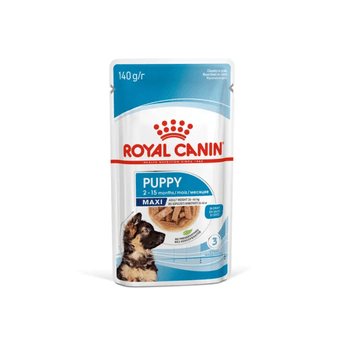 White background with a sachet of Royal Canin Maxi Puppy in gravy. Pictured on the packet is a puppy, text on the tin states '2 -15 months'.
