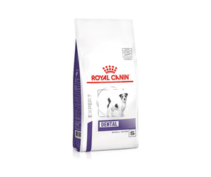 White background with a white bag of Royal Canin Dental for Small dogs. Pictured on the bag is a Jack Russell type dog.