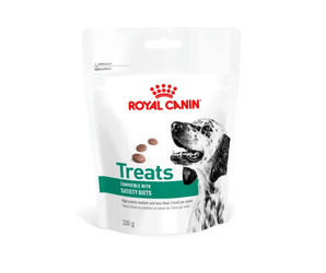 White background with a pouch of Royal Canin Canine Satiety treats with an English Setter dog pictured on the packet, text on the pouch says 'Royal Canin Treats, compatible with Satiety Diets.'