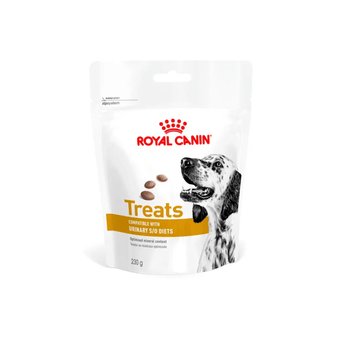 White background with a pouch of Royal Canin Canine Urinary S/O treats with an English Setter dog pictured on the packet, text on the pouch says 'Royal Canin Treats, compatible with Urinary S/O Diets.'