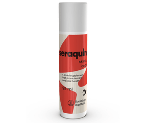 White background with a bottle of Seraquin Skin & Coat. On both the bottle is a silhouette of a cat and dog head. Additional text on the box states 'A liquid supplement that promotes skin and coat health.'
