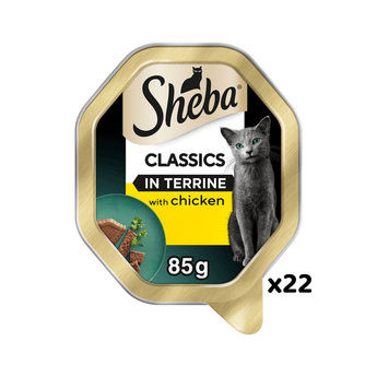 White background with a tray of Sheba Classics with chicken in terrine, pictured on the front is a British blue cat.