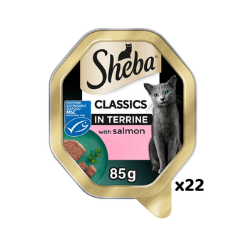 White background with a tray of Sheba Classics with salmon in terrine, pictured on the front is a British blue cat.