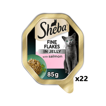 White background with a tray of Sheba Fine Flakes with salmon in jelly, pictured on the front is a British blue cat.