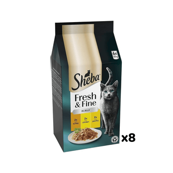 White background with a packet of Sheba Fresh and Fine in jelly, Chicken, Turkey and Poultry. Pictured on the packet is a British blue cat.