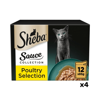 White background with a box of Sheba Sauce Collection Poultry Selection in gravy, pictured on the front is a British blue cat.
