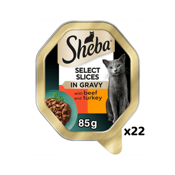 White background with a tray of Sheba Select Slices with Beef and Turkey in gravy, pictured on the front is a British blue cat.