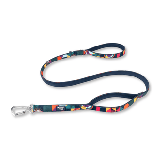 White background with a teal coloured Twiggy Tags Aurora Adventure Close Control dog lead with two handles and carabiner clip.