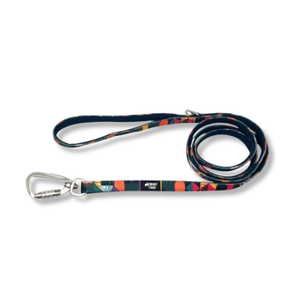 White background with a multicoloured coloured Twiggy Tags Aurora Adventure Small dog lead with one handle and carabiner clip.