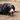 Dog lying on the ground with a bone in its mouth, outdoors.