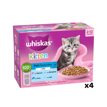 White background with a purple box of Whiskas Fish Favourites, on the box is silver tabby kitten in front of a bowl on food. Text on the pack reads 'Whiskas, 2-12months, Fish Favourites, in Jelly, 12x85g'