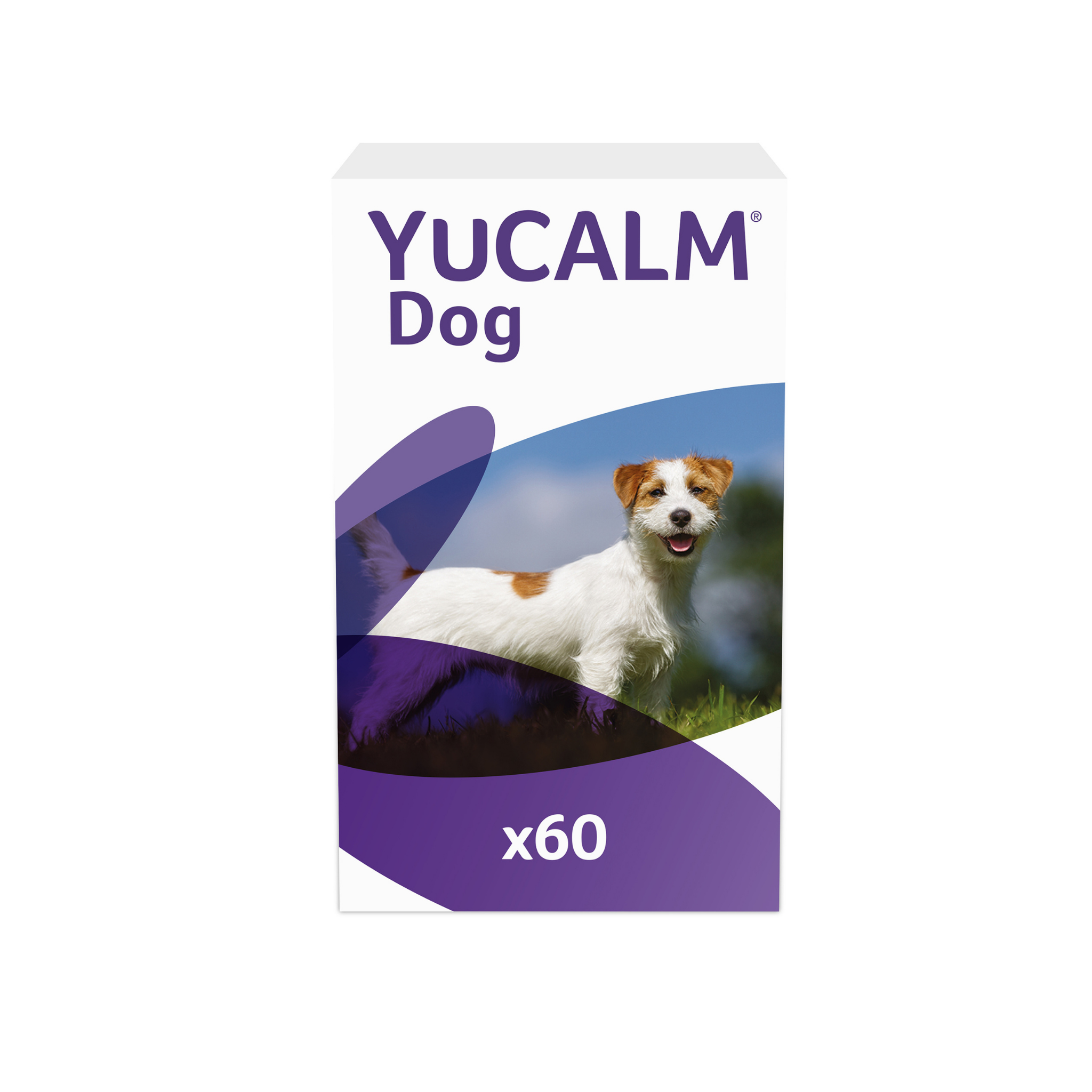 Lintbells 2025 yucalm dog