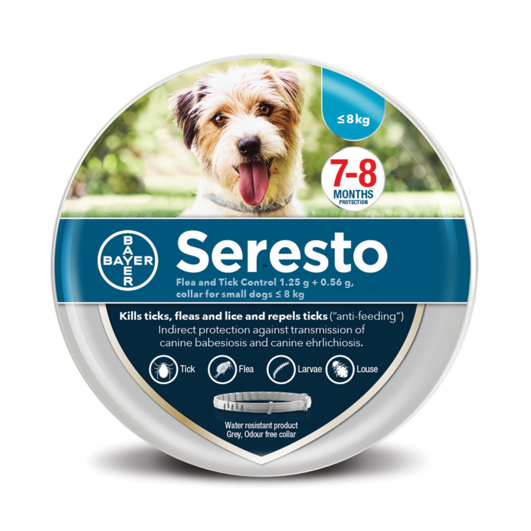 Dog flea collars top that last 8 months
