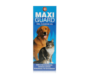 Maxi Guard Oral Cleansing Gel in Blue Box