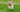 Dog running through grass with red toy in mouth