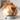 Joint Support Cat Food