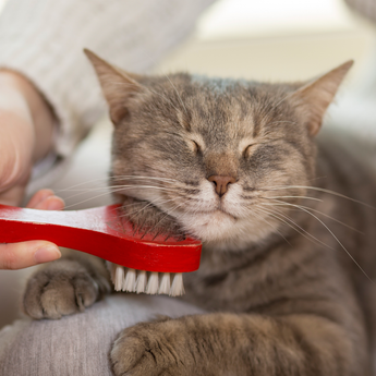 Grooming