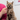 Cat with PDSA Vet