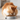 Cat eating food from bowl on floor