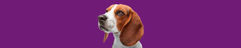 Dog Urinary, Kidney & Liver - PDSA Pet Store