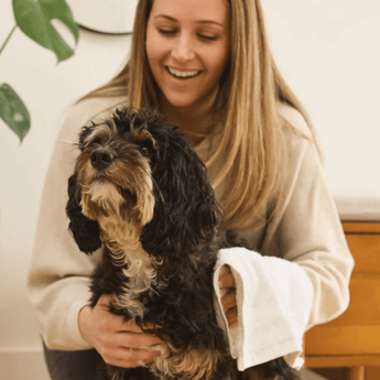 Dog held by owner