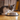 Kitten eating from metallic bowl