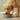 Wet Dog Food