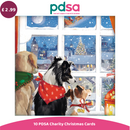PDSA Charity Christmas Cards with dogs looking out a window at a snowy scene.