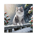 Cat sitting on a snowy ledge with holly bushes in the background