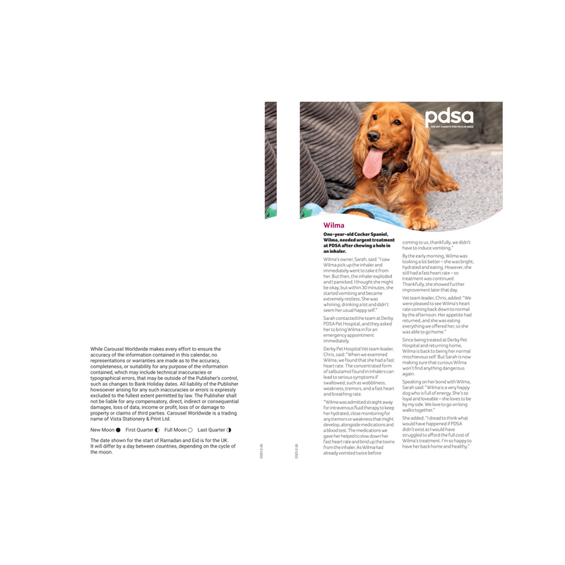 Magazine page with a dog on a gray couch and text on a white background