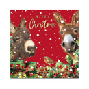 Christmas card with two donkeys, a robin, and holly on a red background.