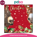 PDSA Christmas charity card with donkeys and a robin on a red background
