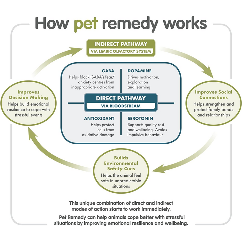 Pet Remedy Mini / Travel Calming Spray - 15ml info graphic