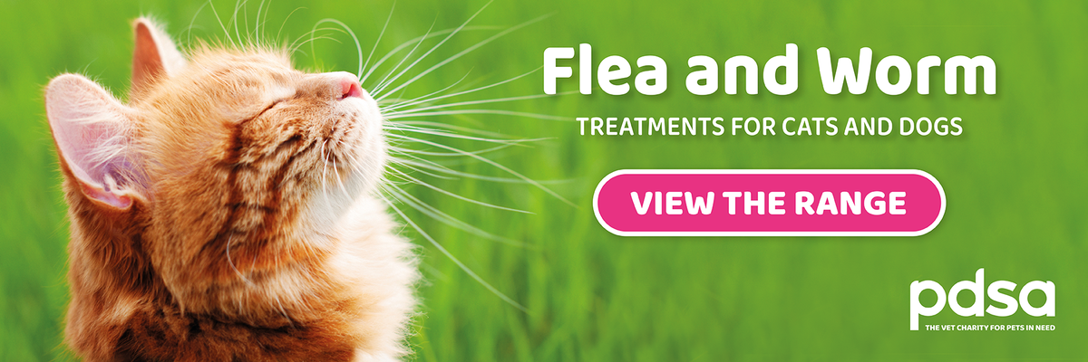 Flea and Worming banner