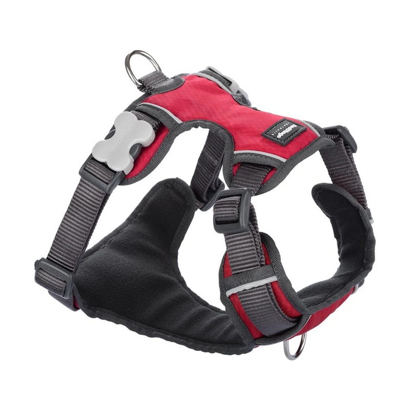 A Red Dingo Padded Red Dog Harness on a white background