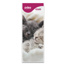 PDSA calendar with cat images on a white background
