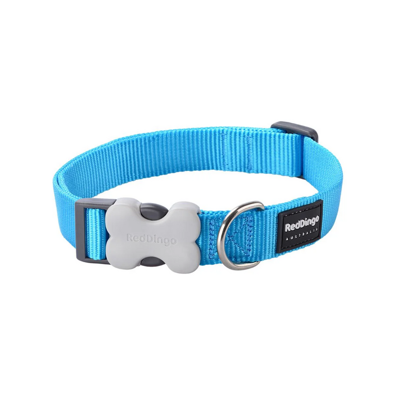 Red Dingo Classic Turquoise Dog Collar
