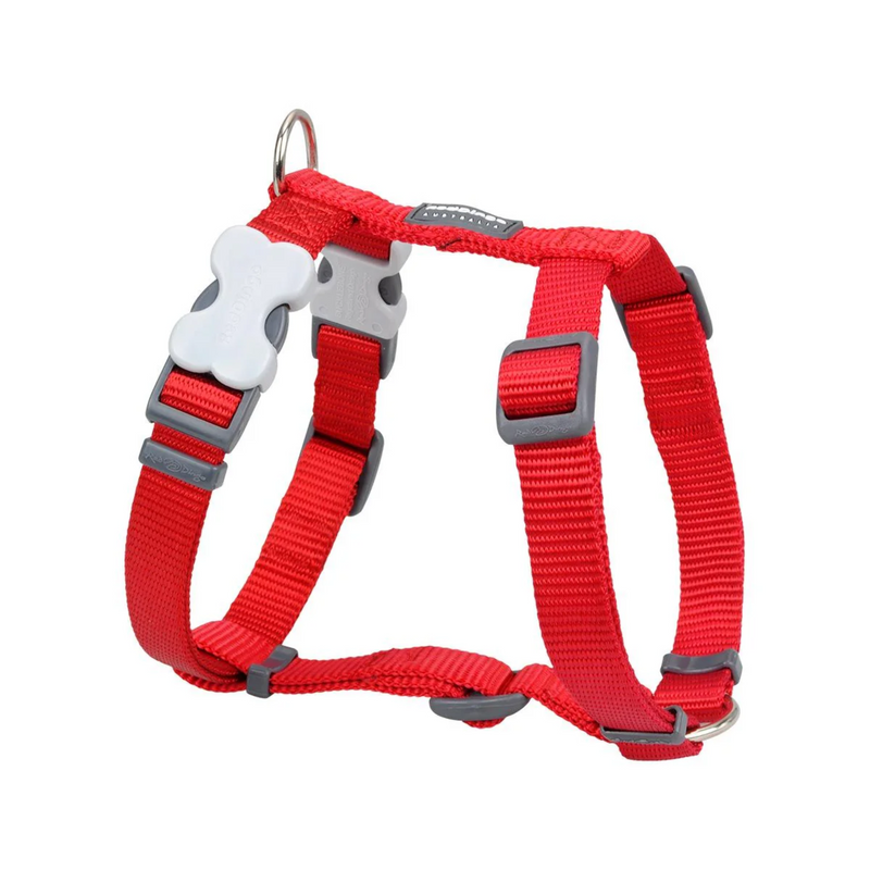 A Red Dingo Classic Red Dog Harness on a white background