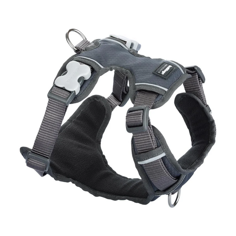 A Red Dingo Padded Cool Grey Dog Harness on a white background